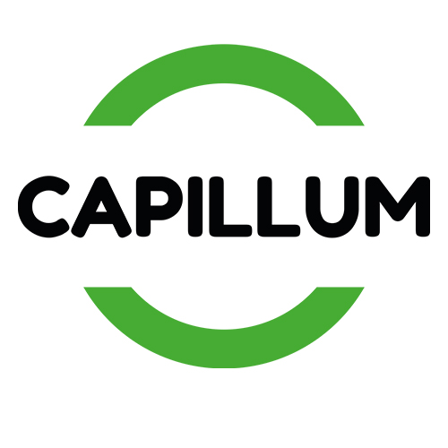 https://www.capillum.fr/